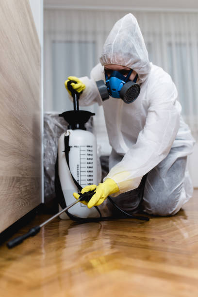 Reliable Graniteville, SC Pest Control Solutions